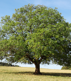 Vlasak Logging Help Center home page